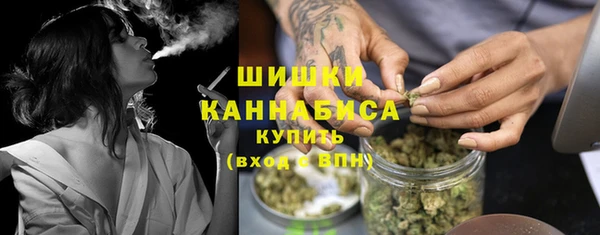 mdpv Белокуриха
