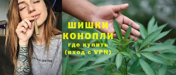 стаф Богородицк