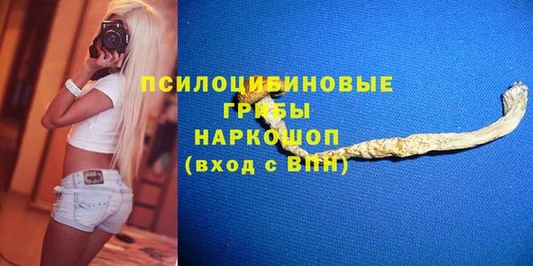 стаф Богородицк
