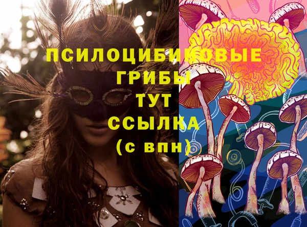 мяу мяу мука Богородск