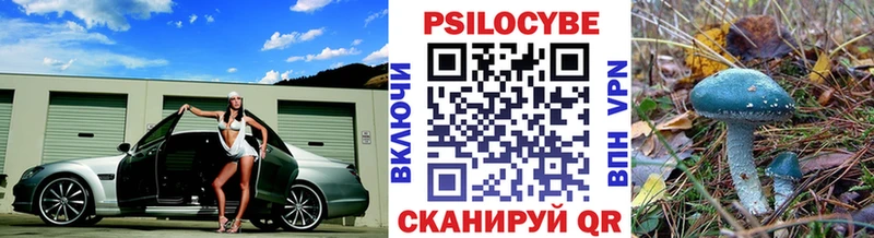 Псилоцибиновые грибы Psilocybe  Ясногорск 